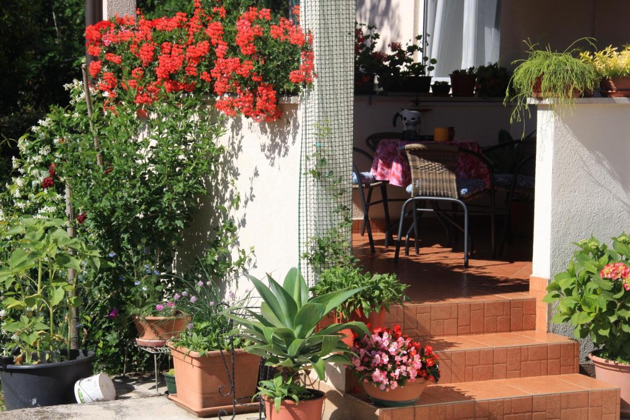 Apartman Rino Bašanija المظهر الخارجي الصورة